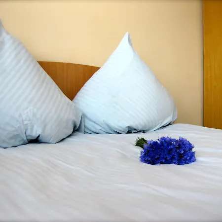 B&B Simple Nocleg ze śniadaniem